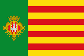  Renovar Carnet Conducir en castellon 