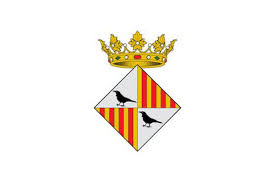  Renovar Carnet Conducir en Granollers 